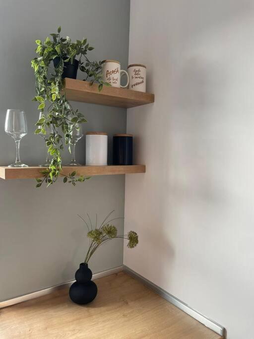 Minimalist 5 * Brașov